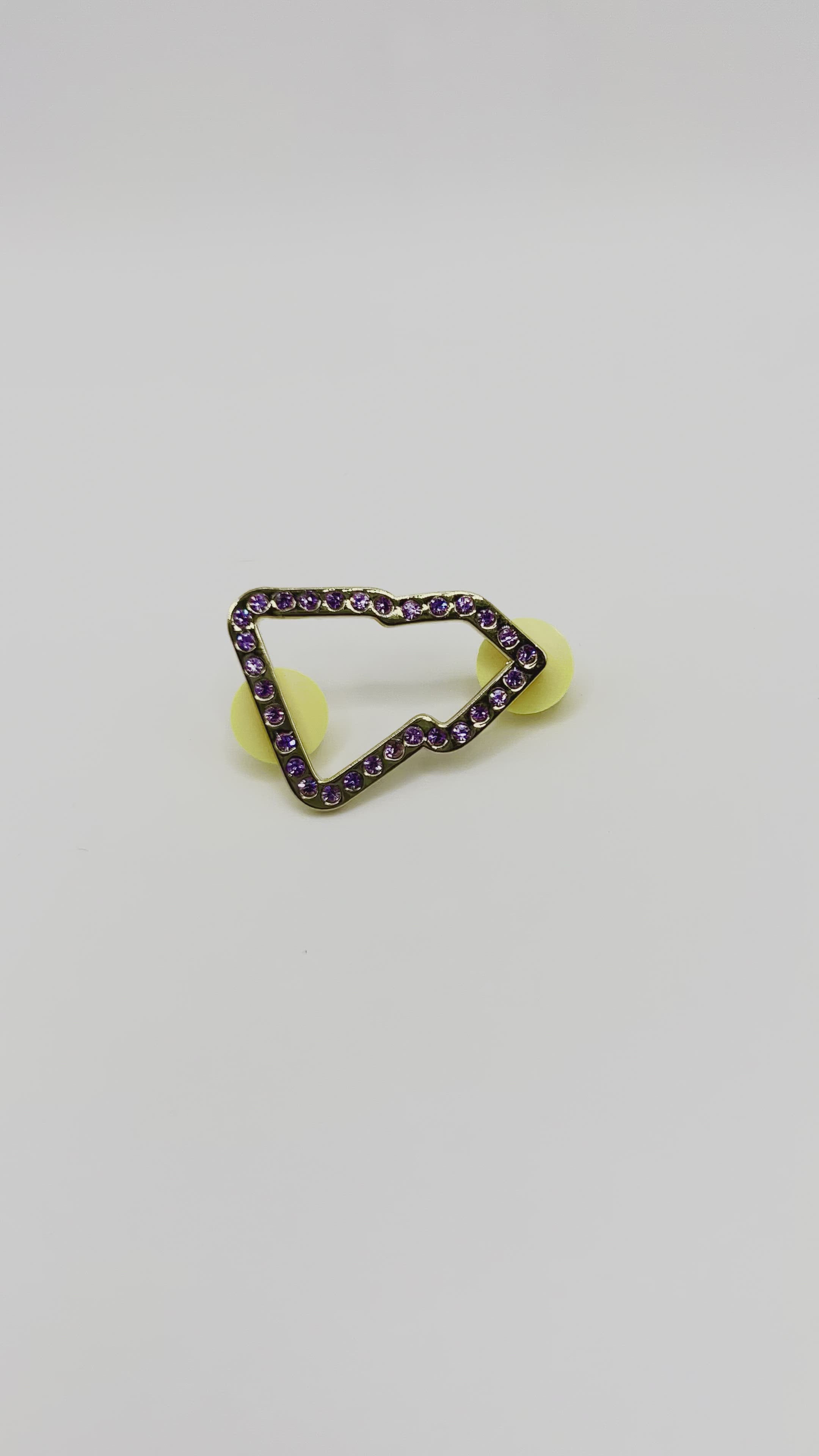 NE Border pin Gold plating with a violet stone